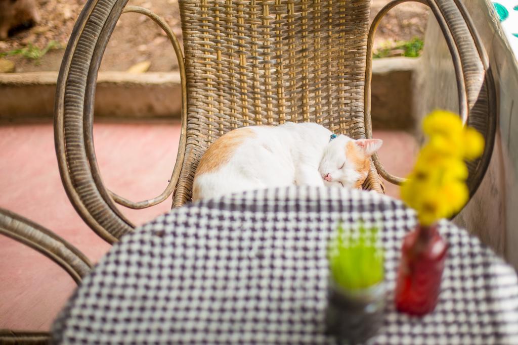 Baan Kati Sod Hotel Pai Buitenkant foto